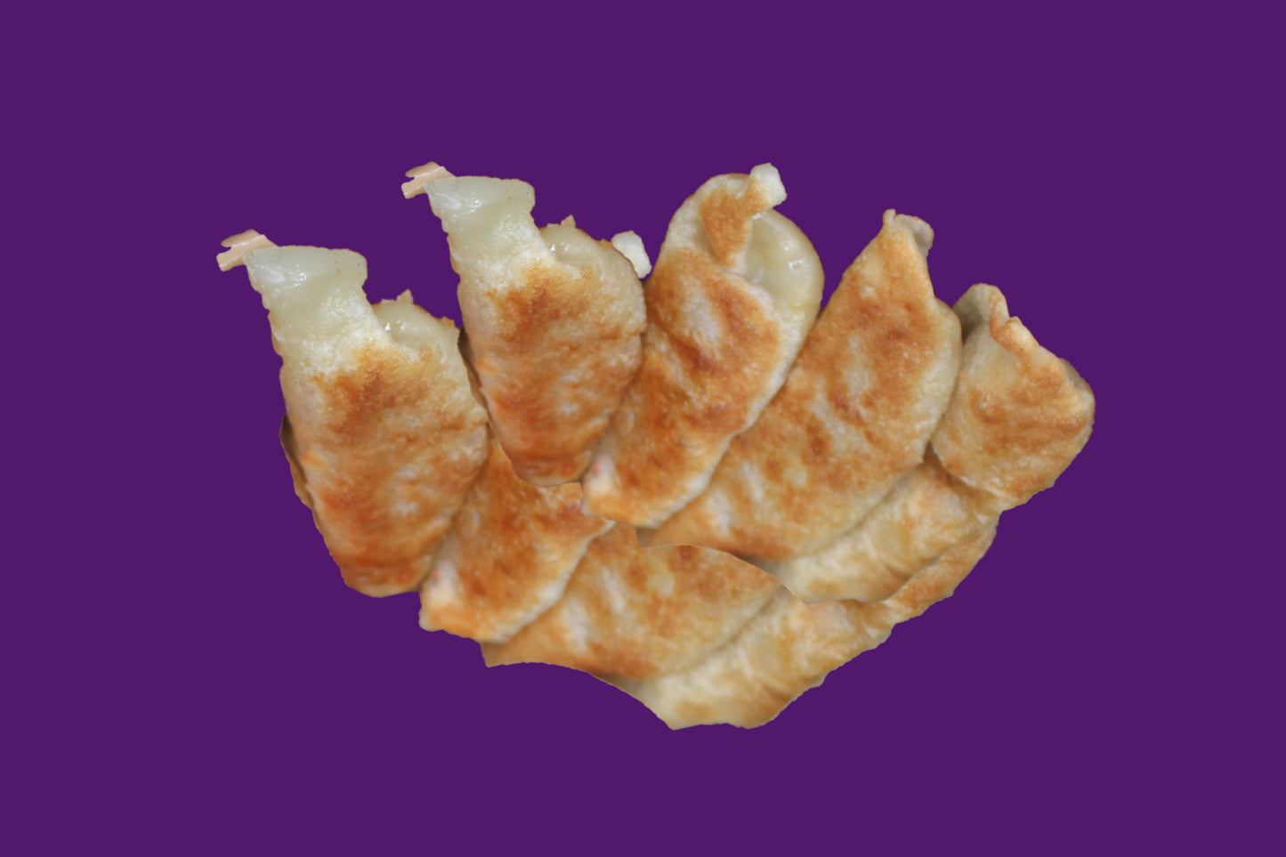 Frozen Dumplings - 鍋貼