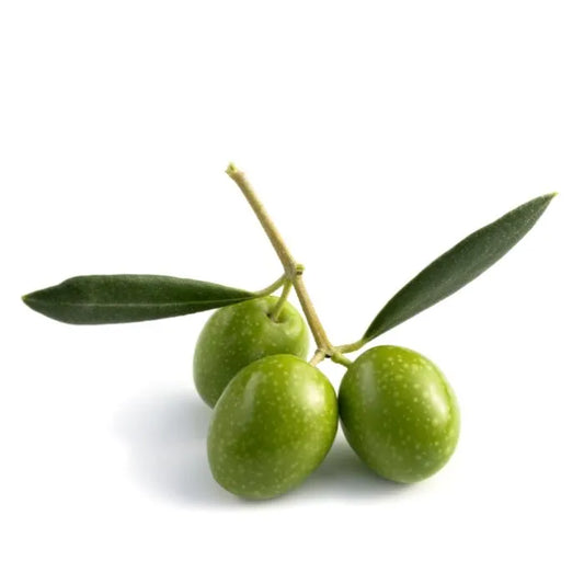 Olive Oil (Pure)